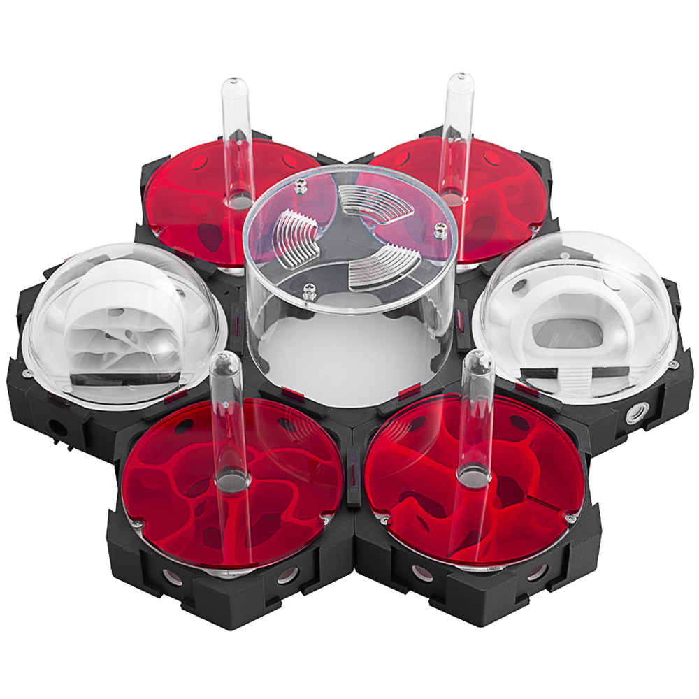 3D-Druck Ameisennest stufenlos – Begonia Rex Bewertung und Preis