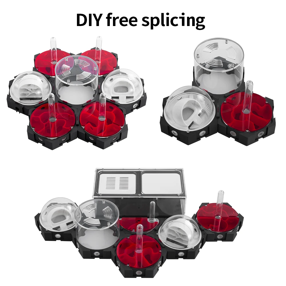 3D-Druck Ameisennest stufenlos – Begonia Rex Bewertung und Preis