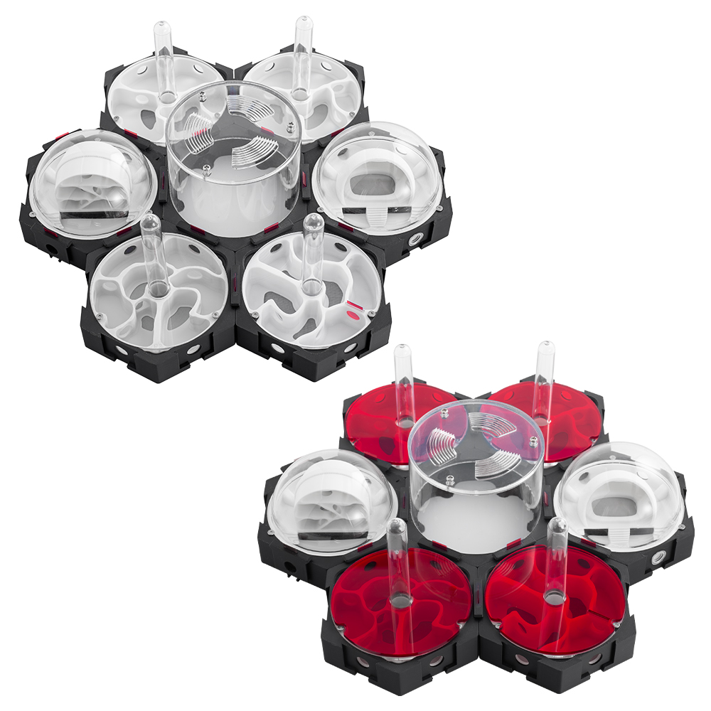 3D-Druck Ameisennest stufenlos – Begonia Rex Bewertung und Preis
