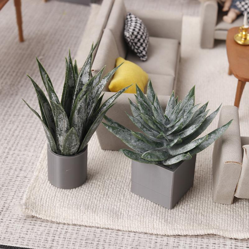 Miniatur-Aloe-Vera-Topfpflanze – Aloe Vera Pot Bewertung und Preis