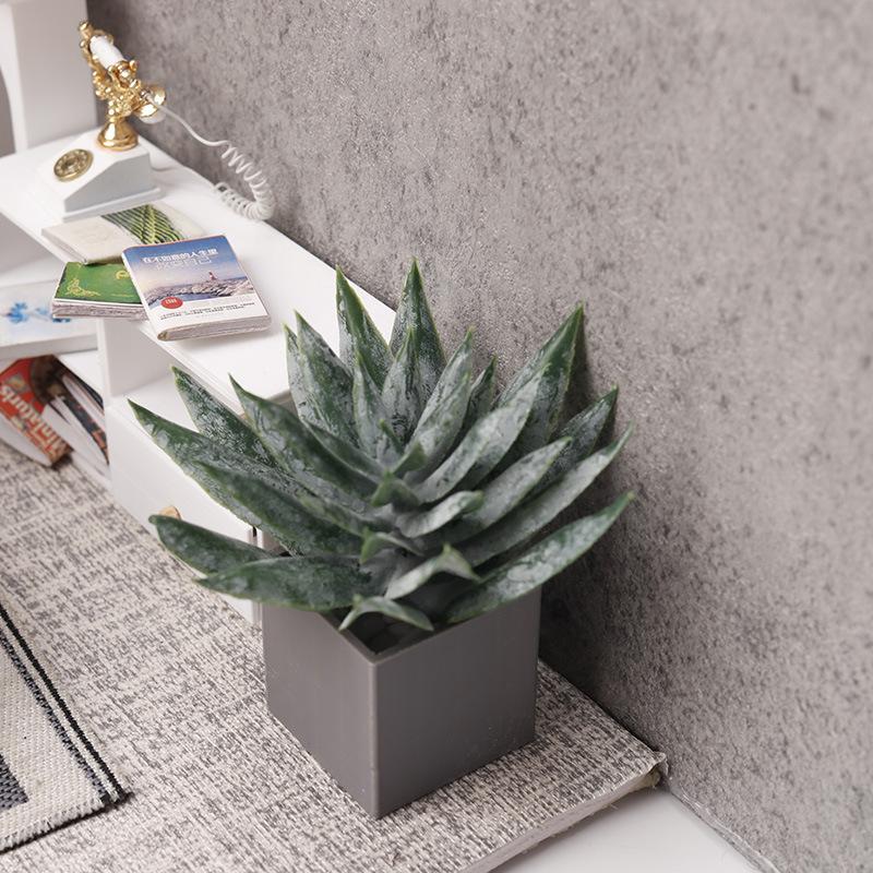 Miniatur-Aloe-Vera-Topfpflanze – Aloe Vera Pot Bewertung und Preis