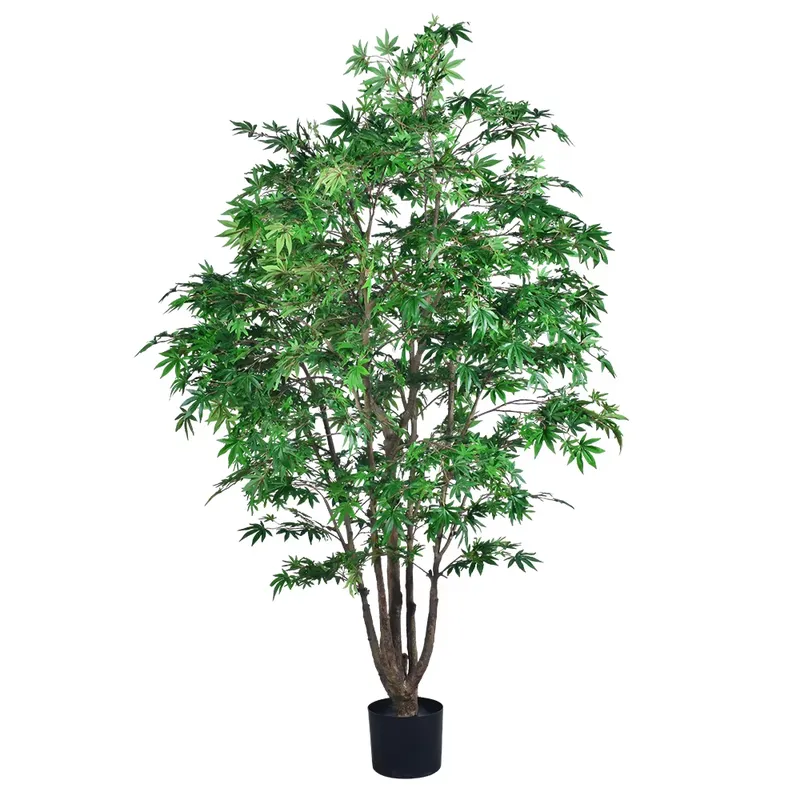 Trendiger Großhandel Grüner Ah – Dracaena Marginata Bewertung und Preis