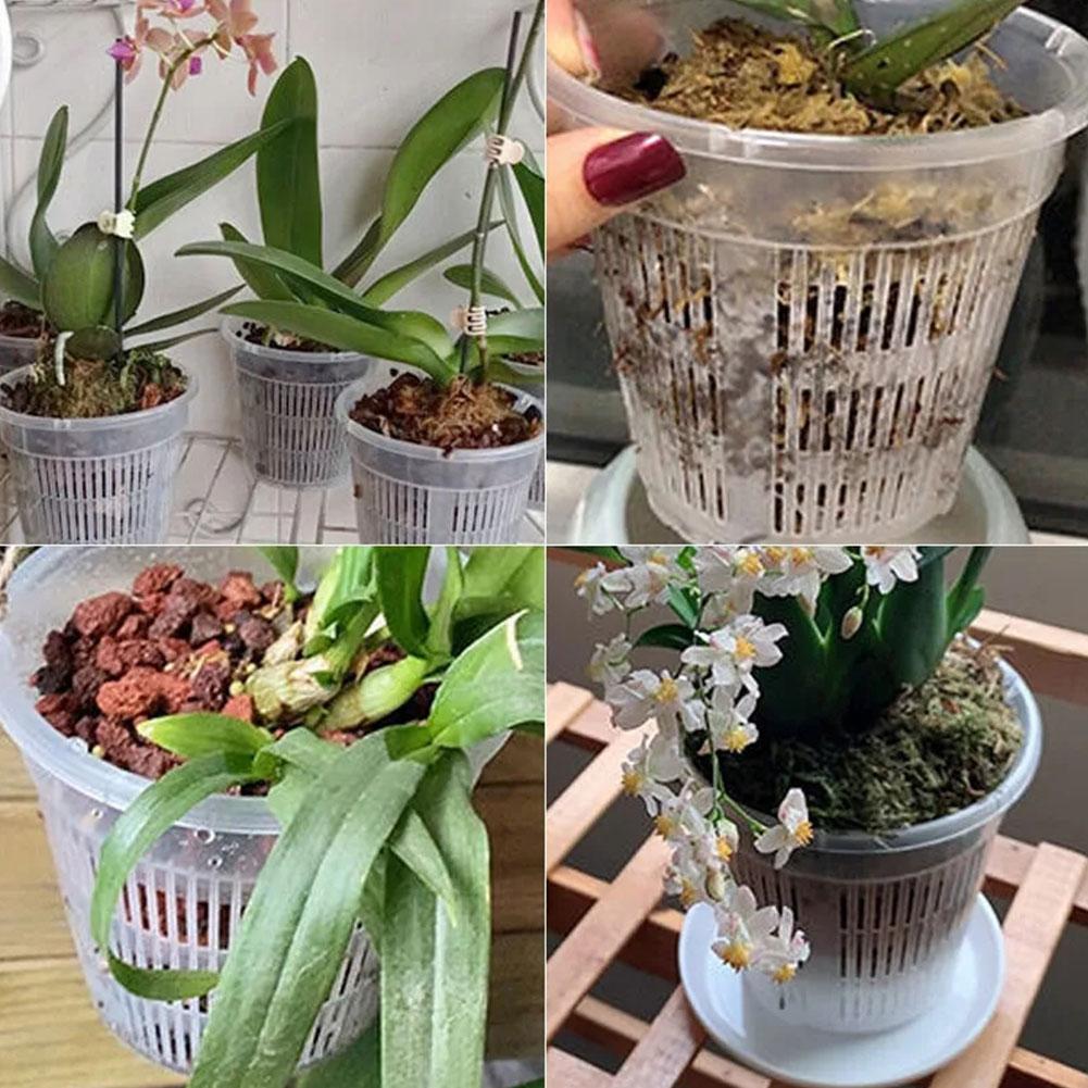 Mesh Pot Root Control Transpar – Aloe Vera Pot Bewertung und Preis