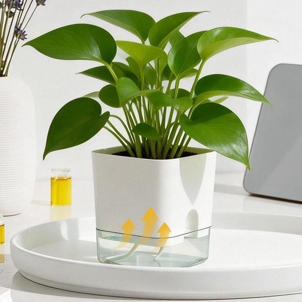 Automatische Bewässerung von B – Aloe Vera Pot Bewertung und Preis