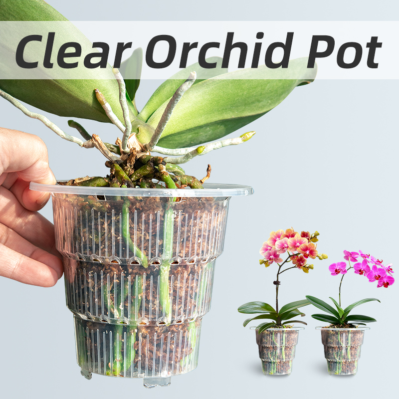 Meshpot klare Plastik Orchidee – Aloe Vera Pot Bewertung und Preis