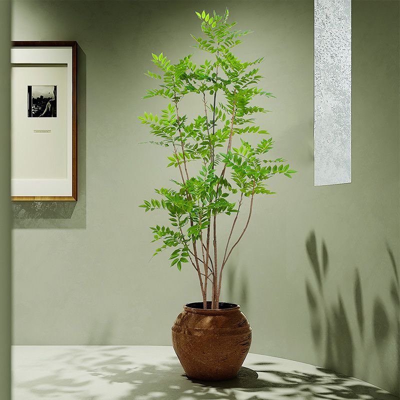 27-59 Zoll große künstliche Pf – Dracaena Marginata Bewertung und Preis