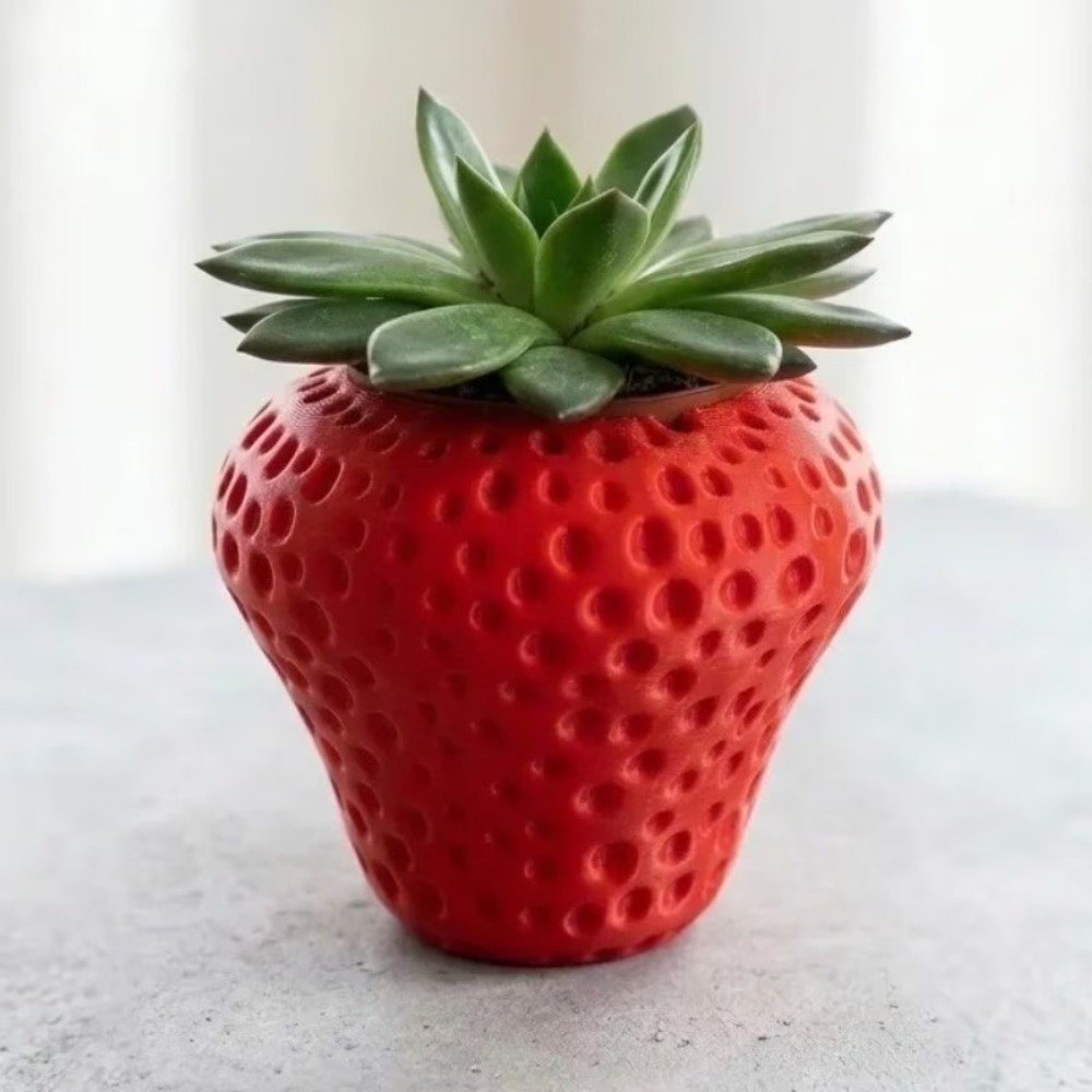 Kunststoff-Blumentopf mit 3D-D – Echeveria Succulent Bewertung und Preis