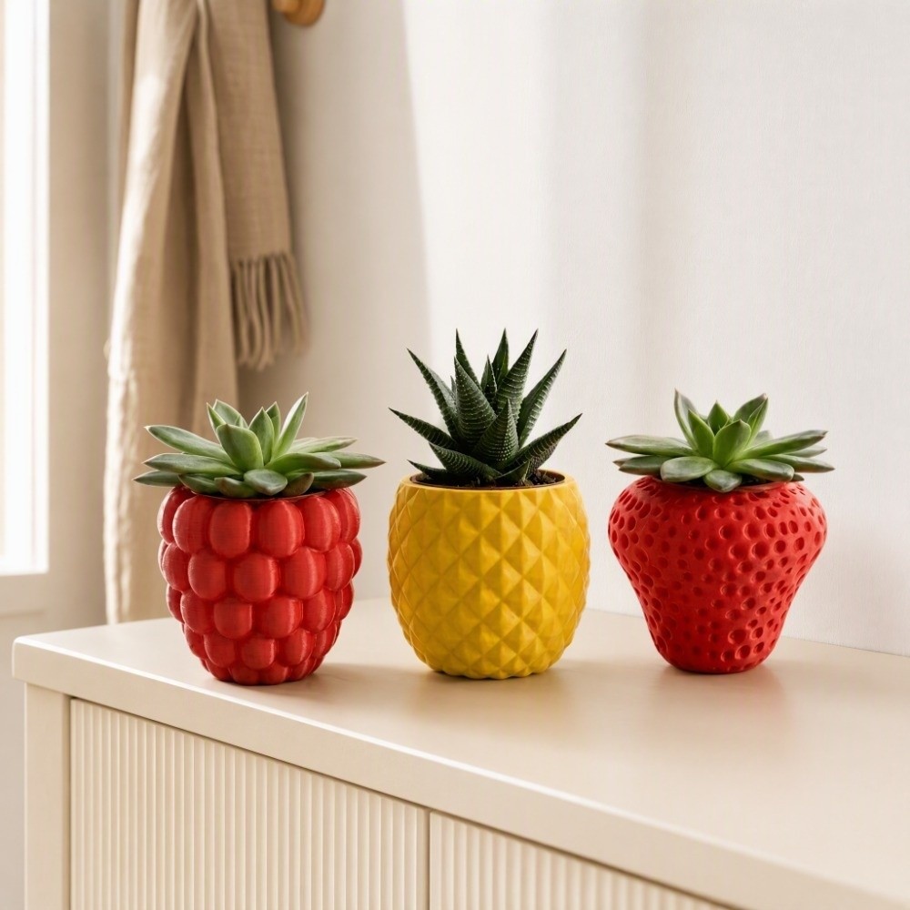 Kunststoff-Blumentopf mit 3D-D – Echeveria Succulent Bewertung und Preis