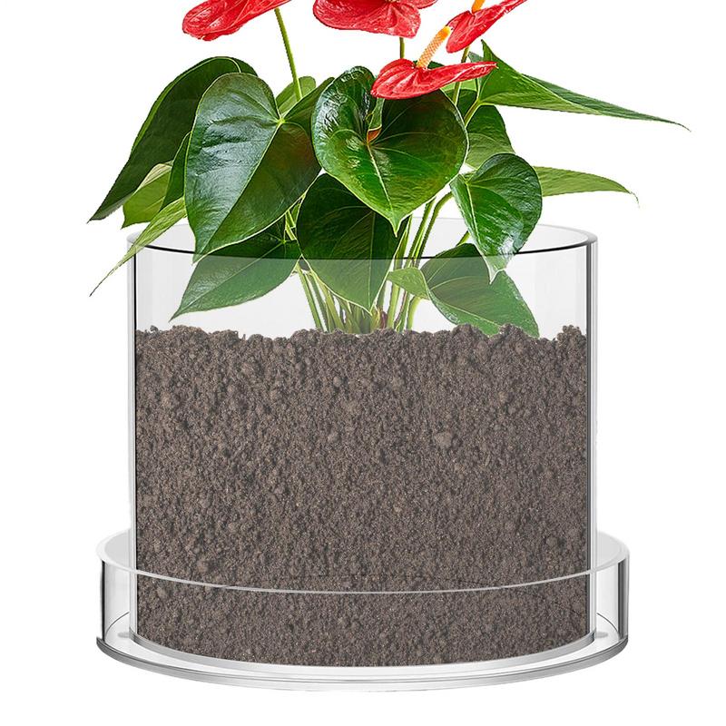 Klare Blumentöpfe mit Entwässe – Aloe Vera Pot Bewertung und Preis