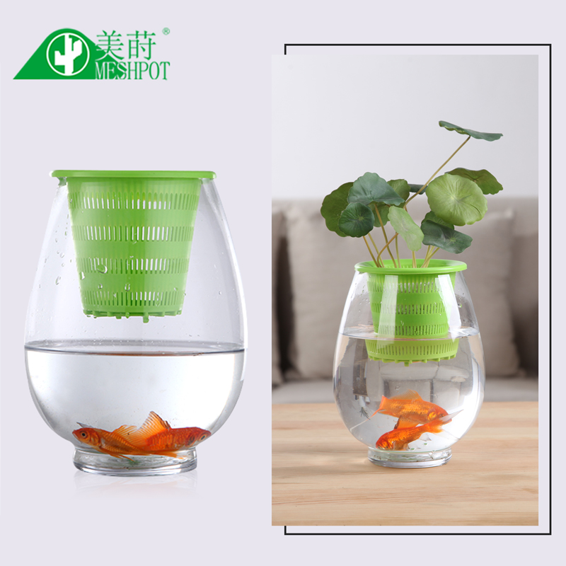 Meshpot 3PCS Bunte Kunststoff  – Aloe Vera Pot Bewertung und Preis