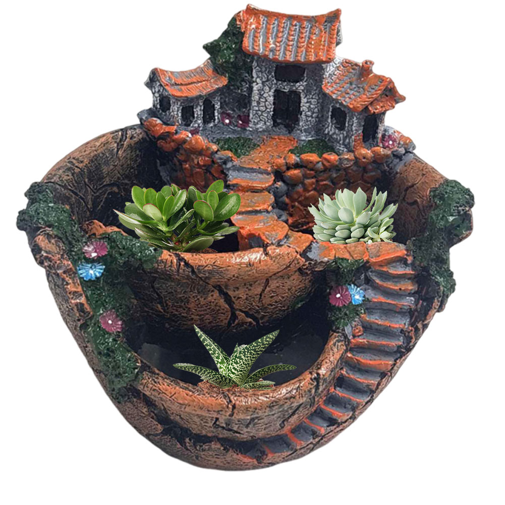 Sukkulenten-Topf im Vintage-St – Echeveria Succulent Bewertung und Preis