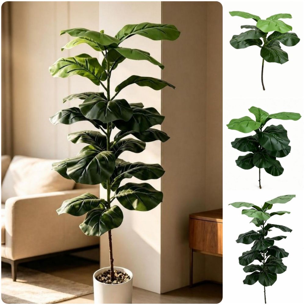 9/15/23 Künstliche Ficus Lyrat – Ficus Lyrata Tree Bewertung und Preis