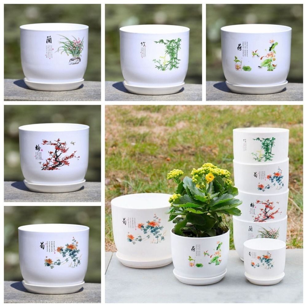 Extragroßer Kunststoff-Blument – Aloe Vera Pot Bewertung und Preis