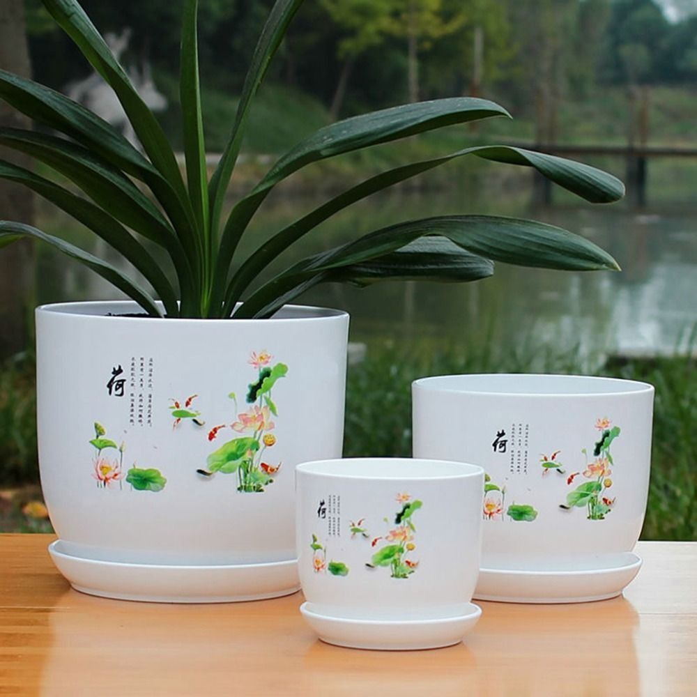 Extragroßer Kunststoff-Blument – Aloe Vera Pot Bewertung und Preis